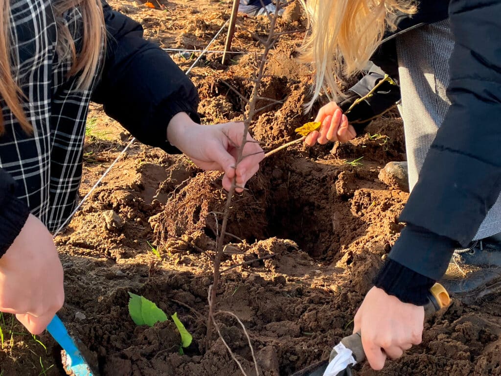 Grønne Nabofællesskaber