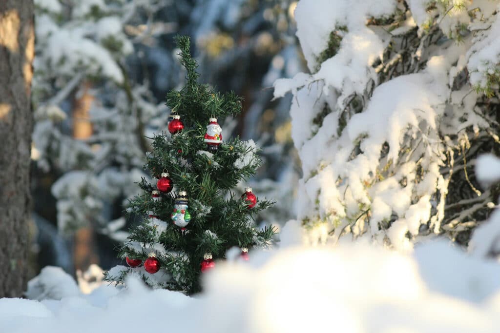 Hvid jul