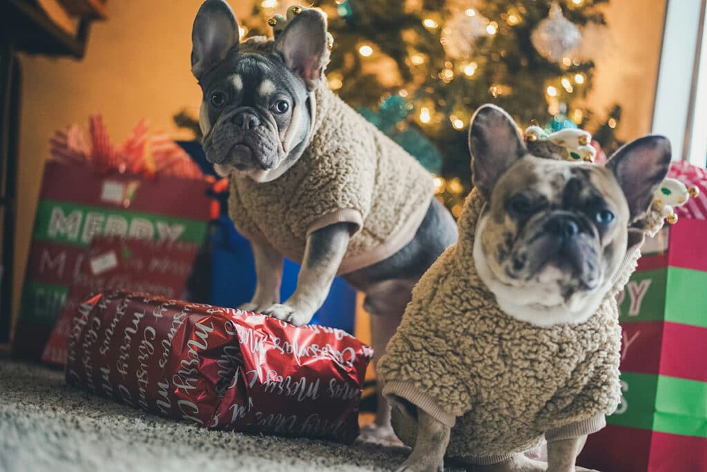 Julehunde