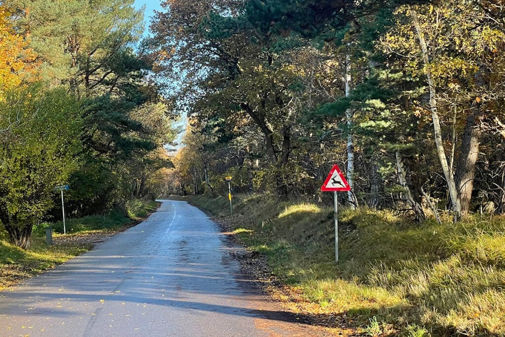 Pas på hjorte skilt