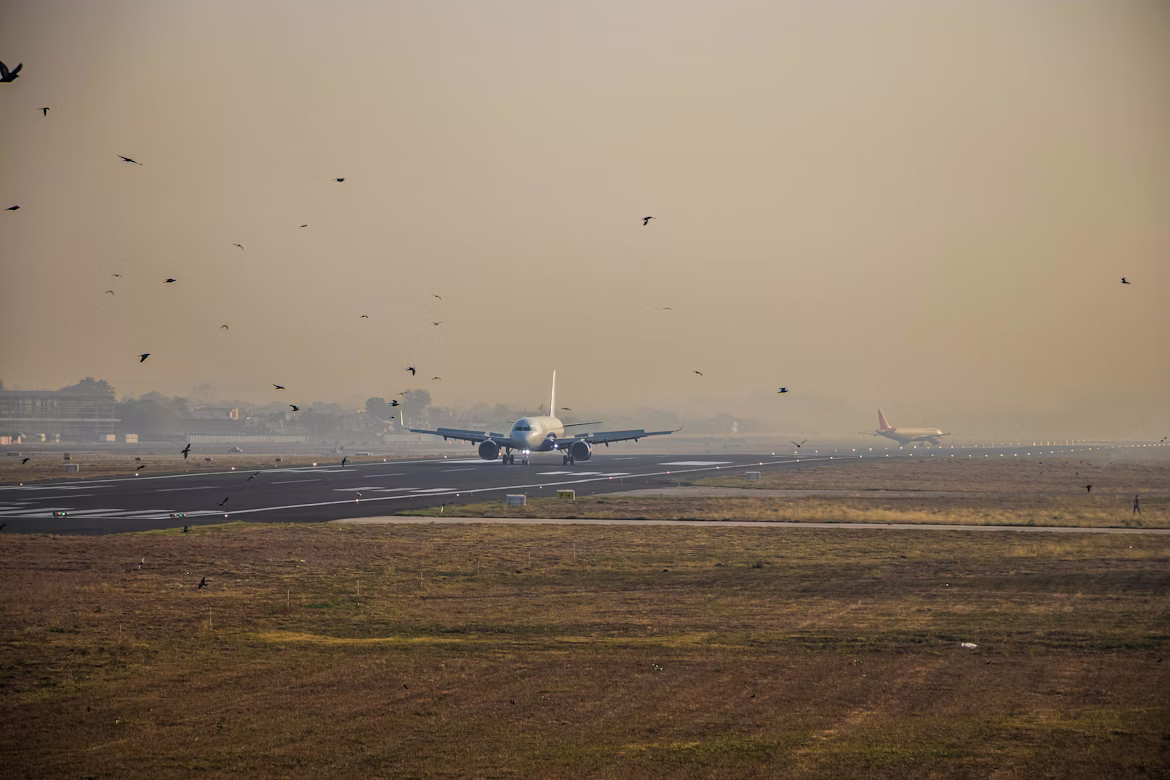 Billede af Jinish Shah/Unsplash