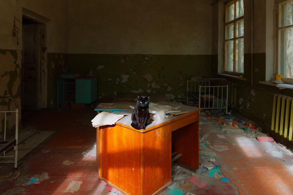 Billede af Maximus Mazar/Unsplash