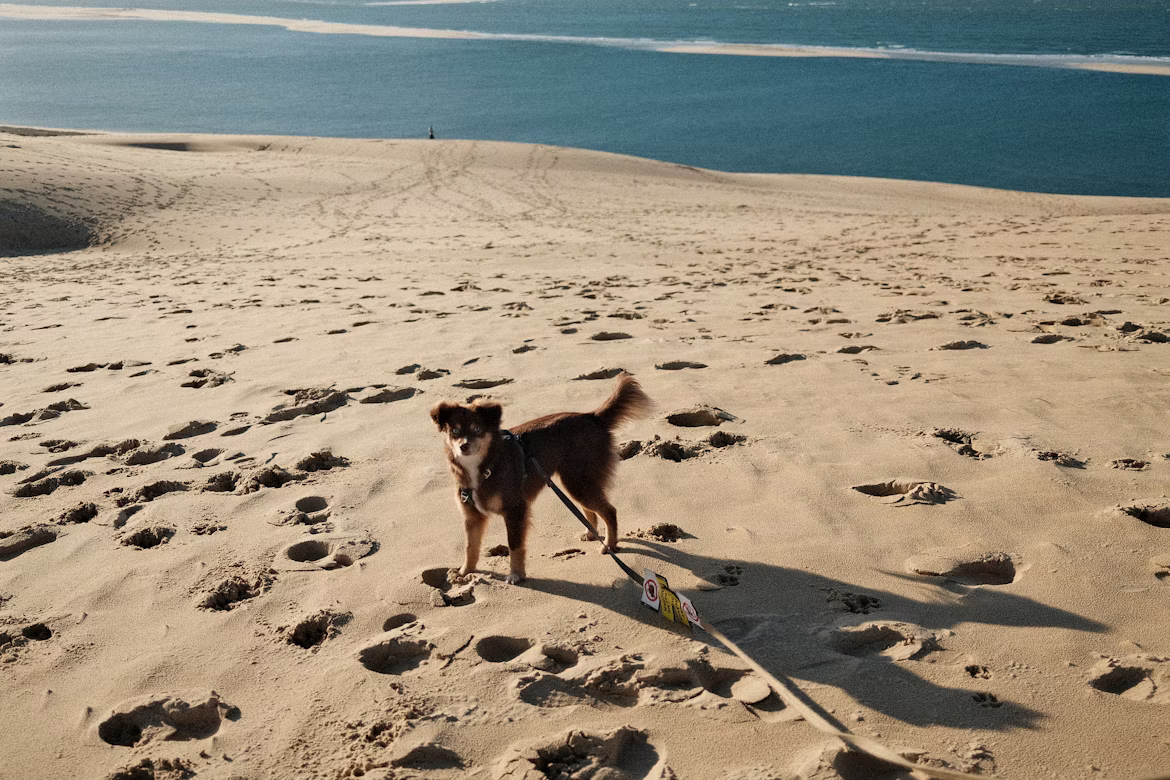 Valentin Lacoste/Unsplash