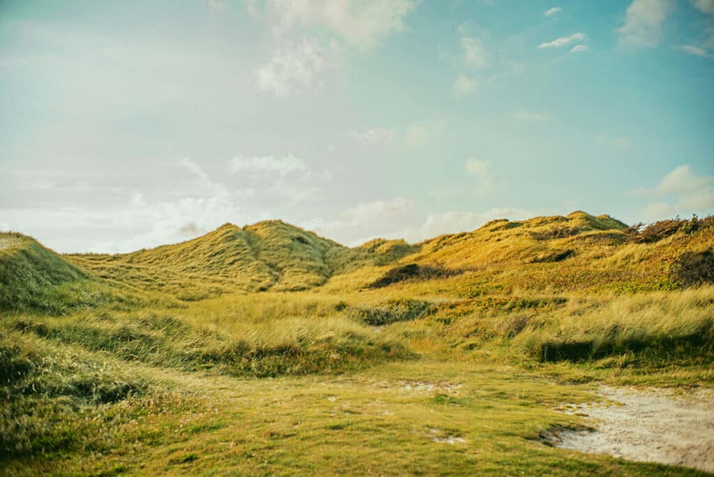 Lodbjerg sande ved Nationalpark Thy