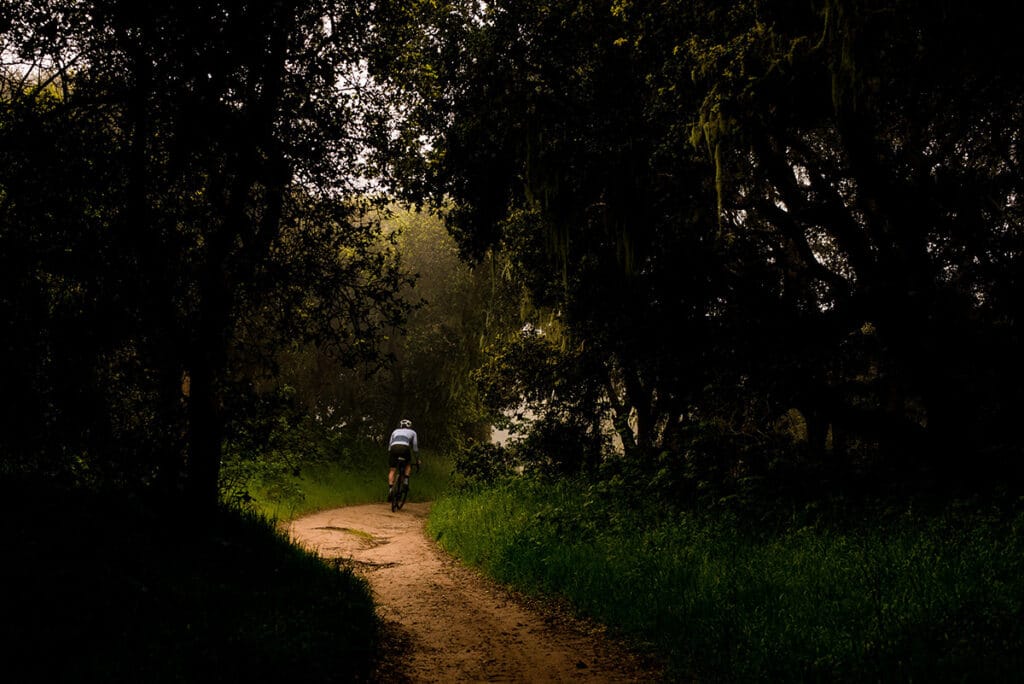 Cykling i skov