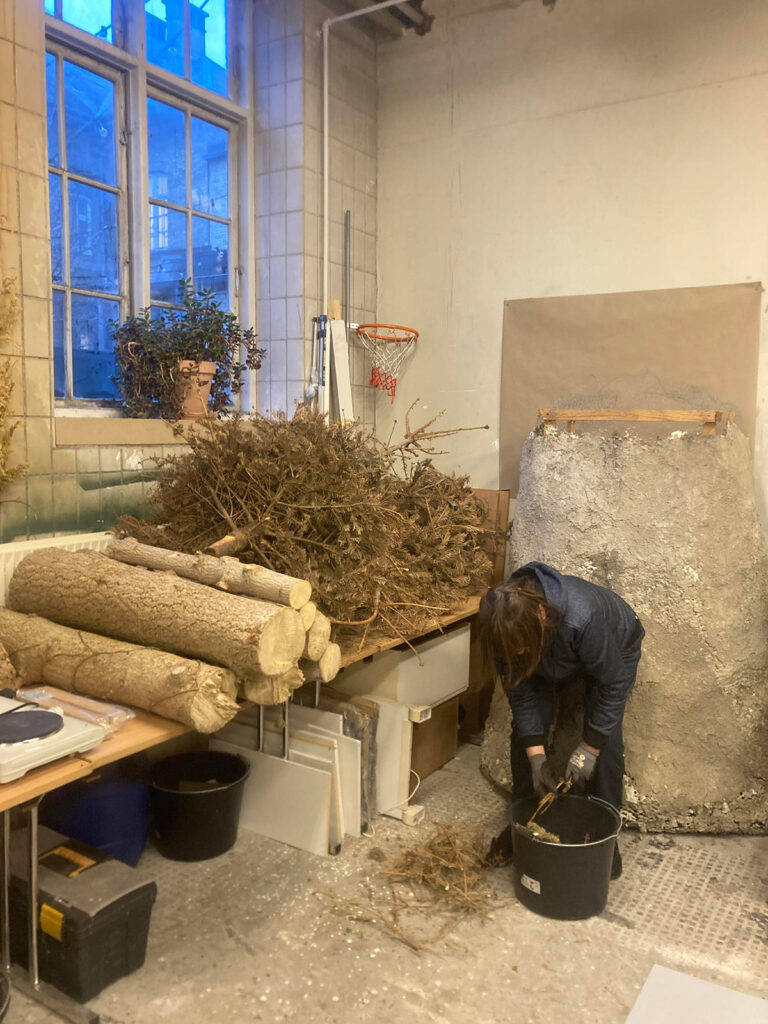 Afskårede træer hos AVAL