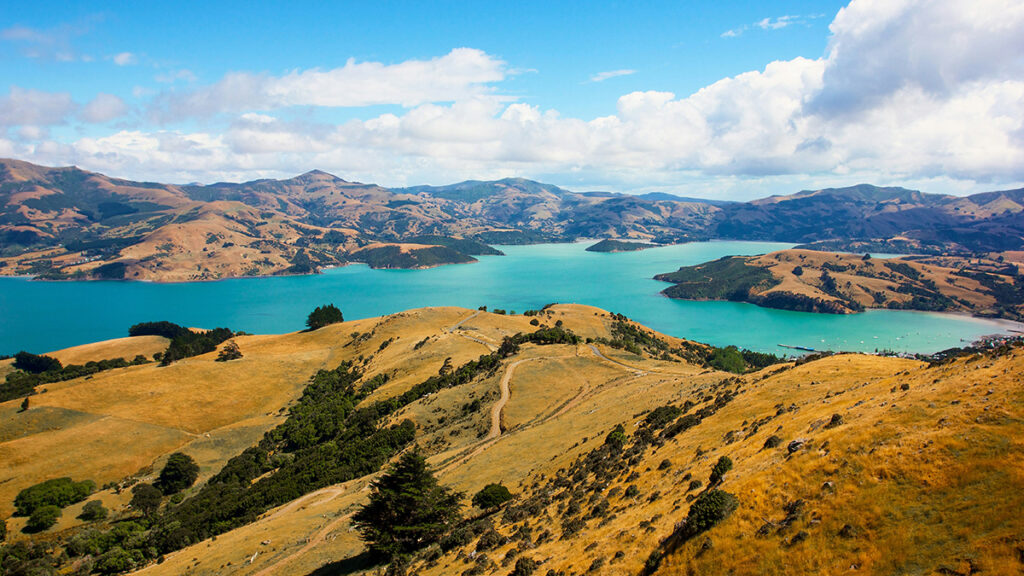 New Zealand