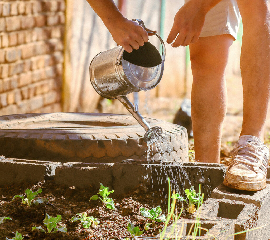 Planter vandes