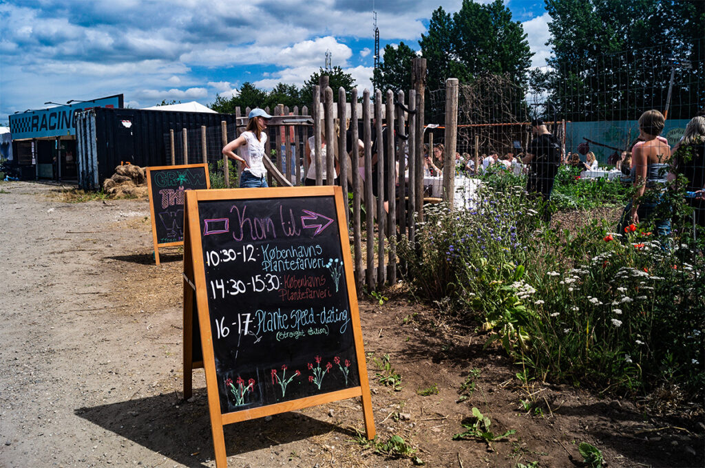 Grow køkkenhave på Roskilde Festival