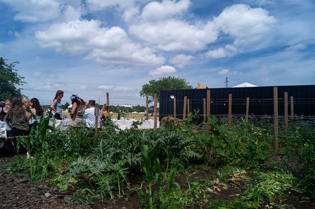 Grow køkkenhave på Roskilde Festival