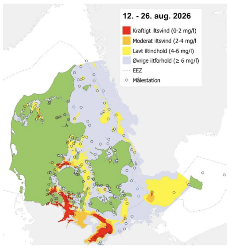 Iltsvind i de danske farvande, slut august 2026.