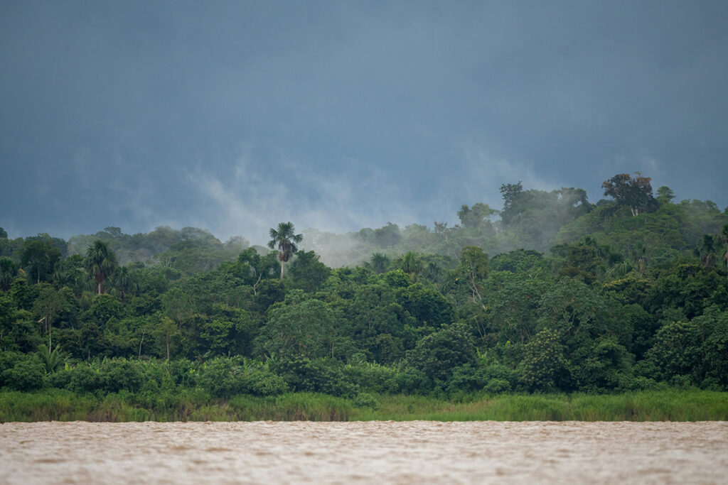 Amazonas regnskov set fra Amazonfloden, Peru