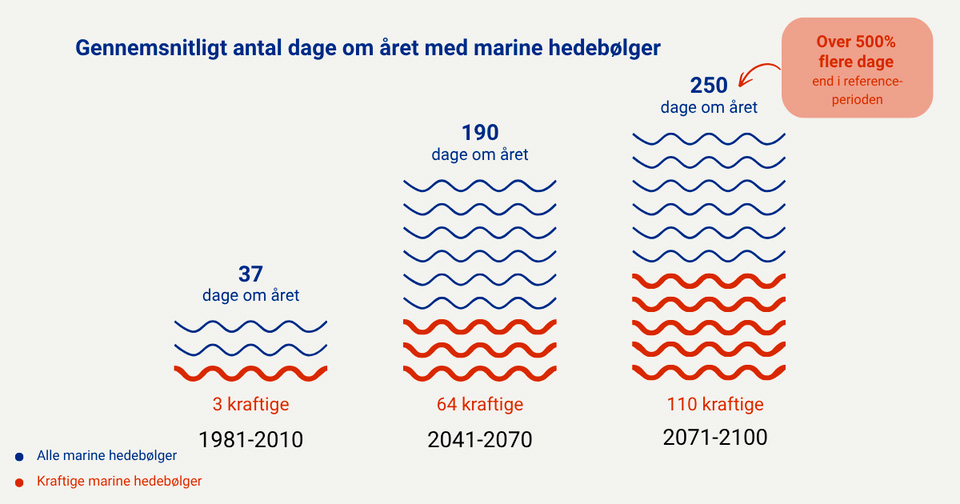 Marine hedebølger stigning