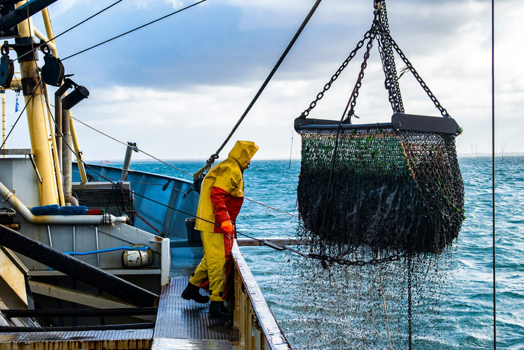 Bomtrawl - en slags bundtrawl