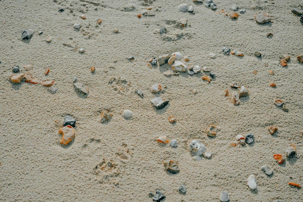 Sten på strand