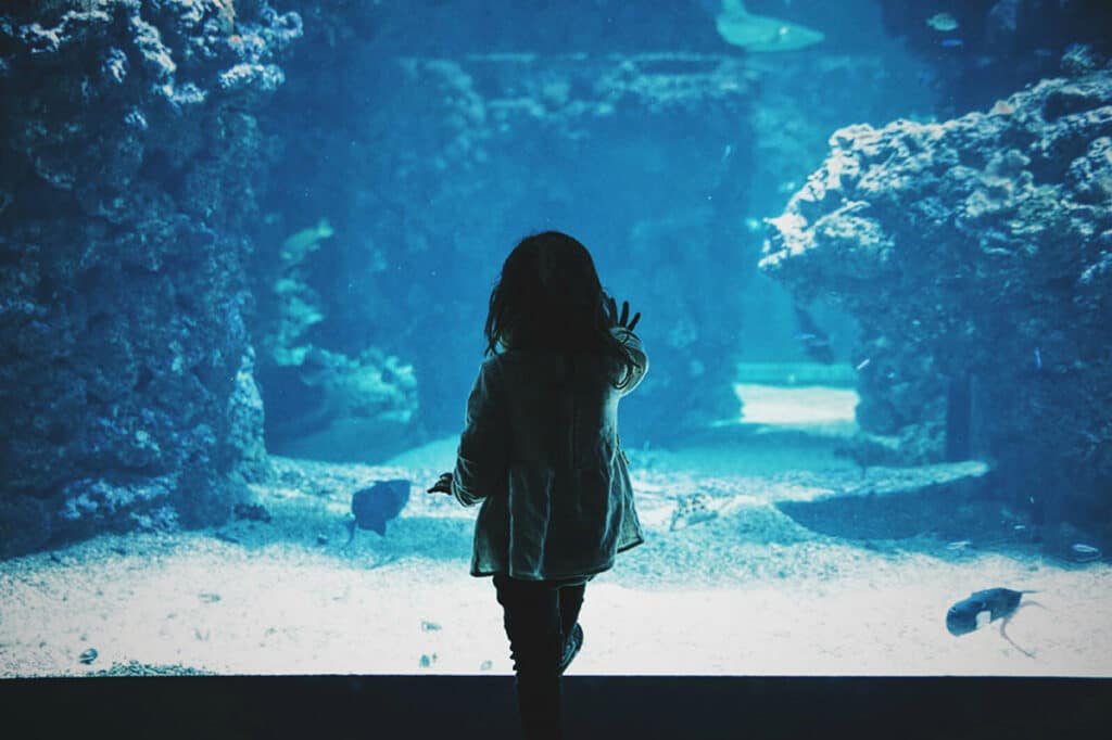 Barn i aquarium