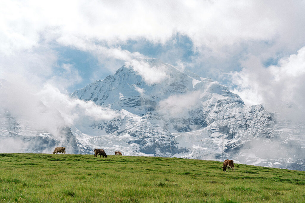 Gletcher i Schweiz