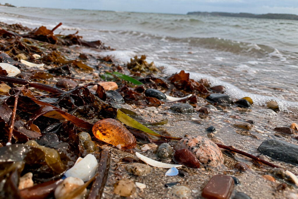 Fund af rav på strand