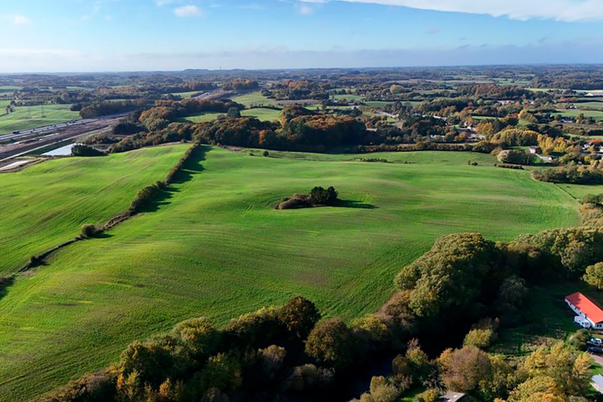 Elmelund Skov vil i fremtiden også brede sig over disse marker. Foto: Odense Kommune