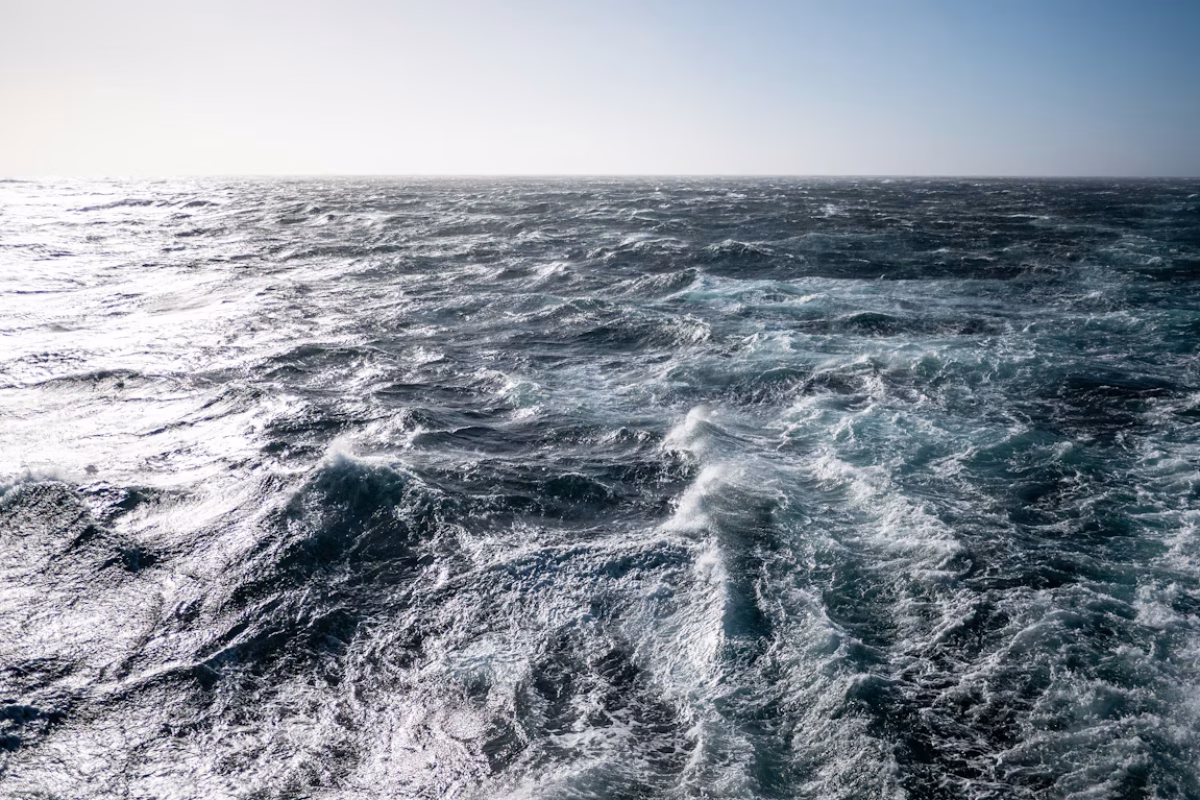 Tonia Kraakman/Unsplash