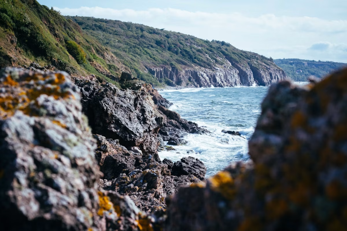 Julian Hochgesang/Unsplash