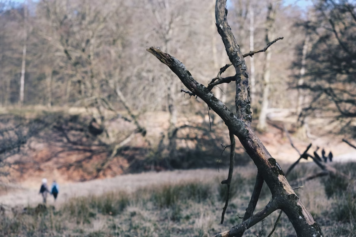 Jonas Smith/Unsplash