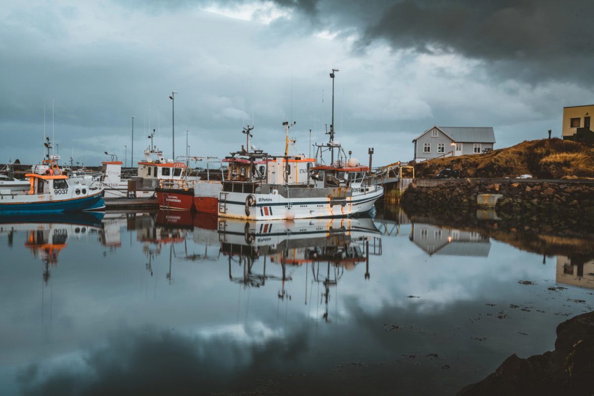 Island - fiskebåd