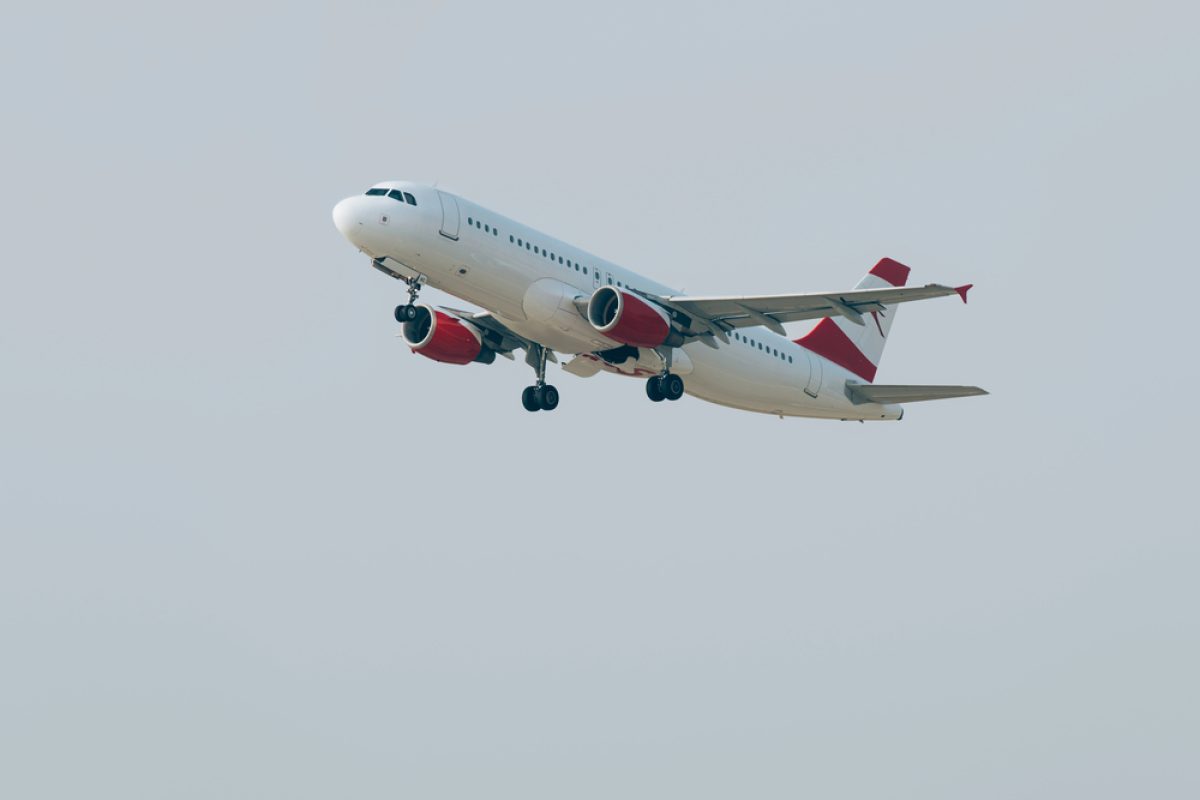 Fly