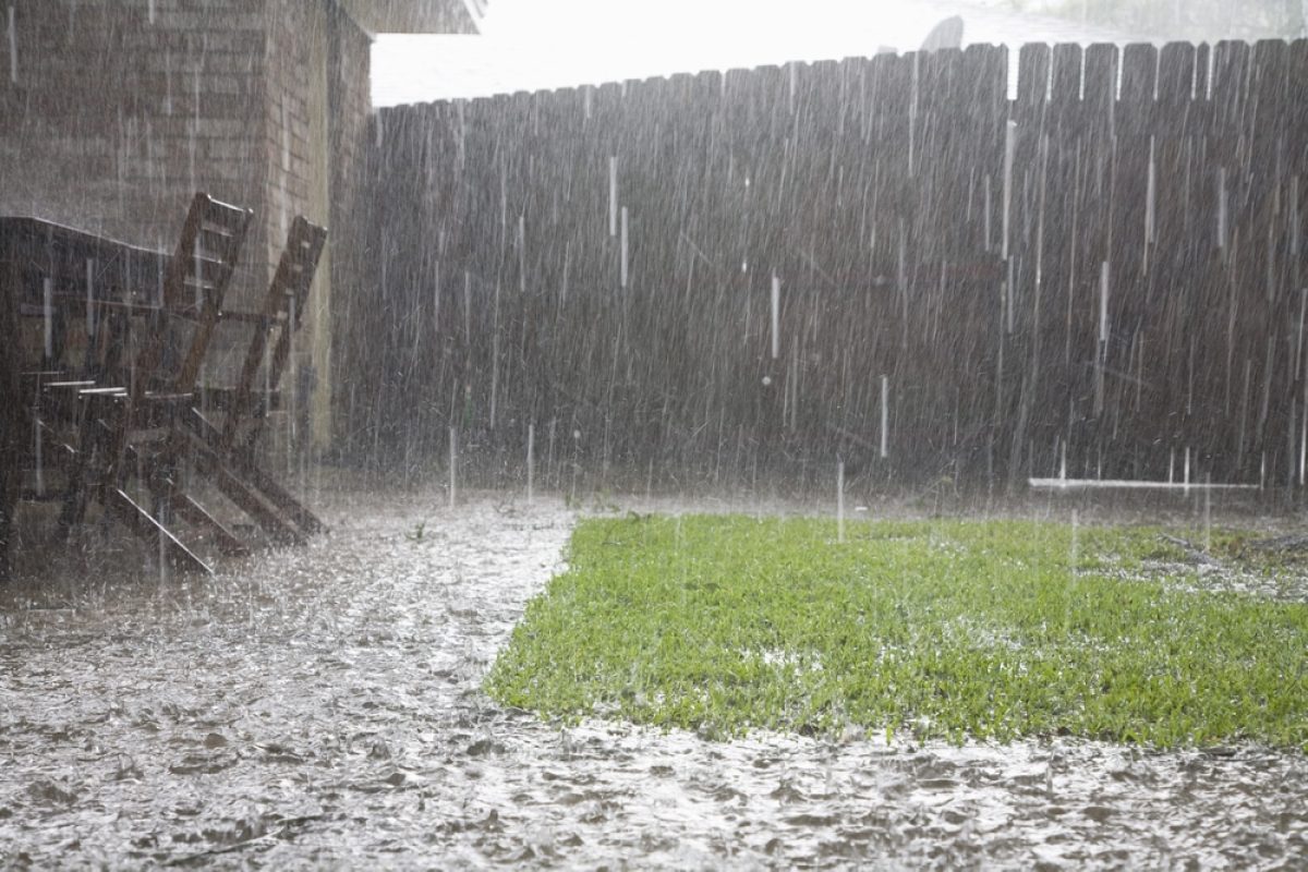 Kraftig regn
