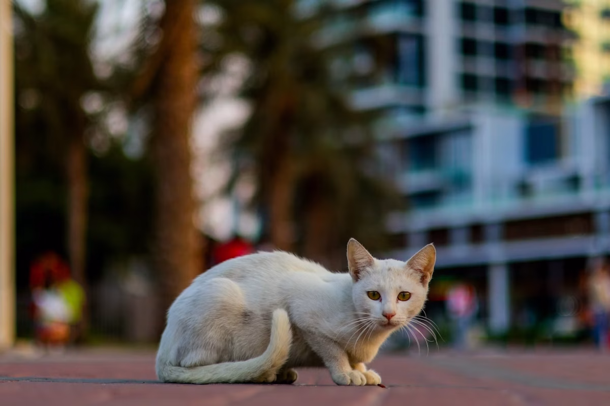 ANOOF C/Unsplash