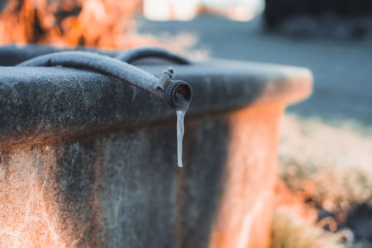 Billede af Anna Maria Gnadl/Unsplash