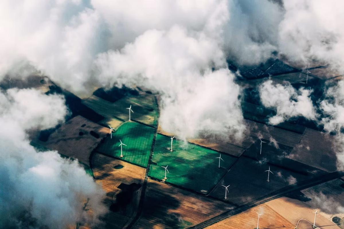 Billede af Thomas Richter/Unsplash