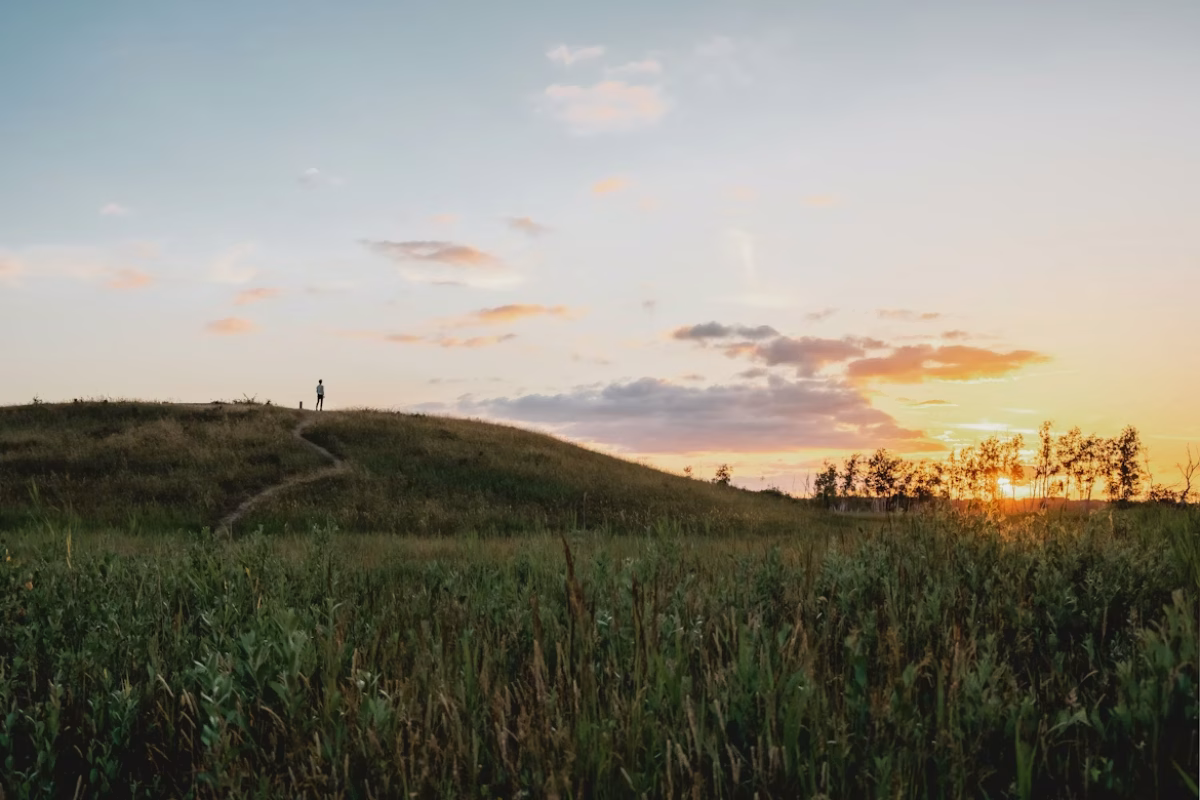 Billede af Febiyan/Unsplash