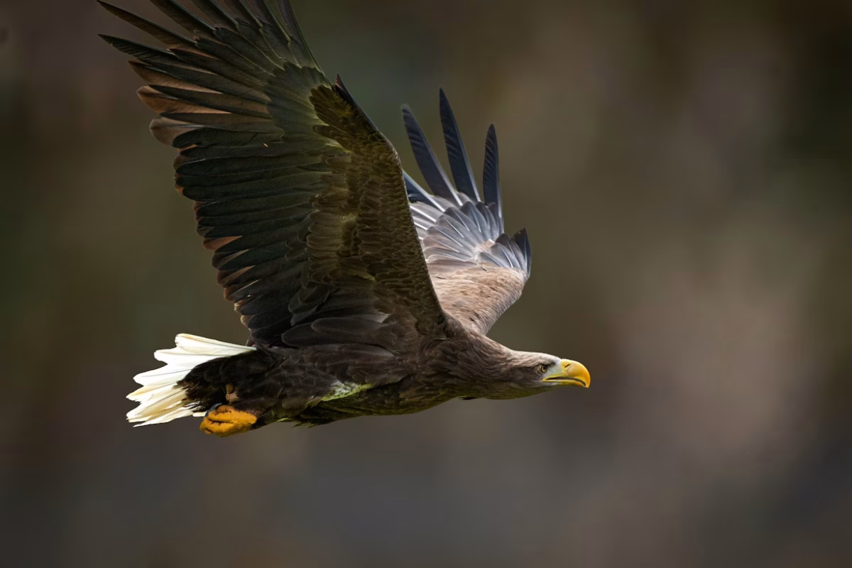 Phil Robson/Unsplash