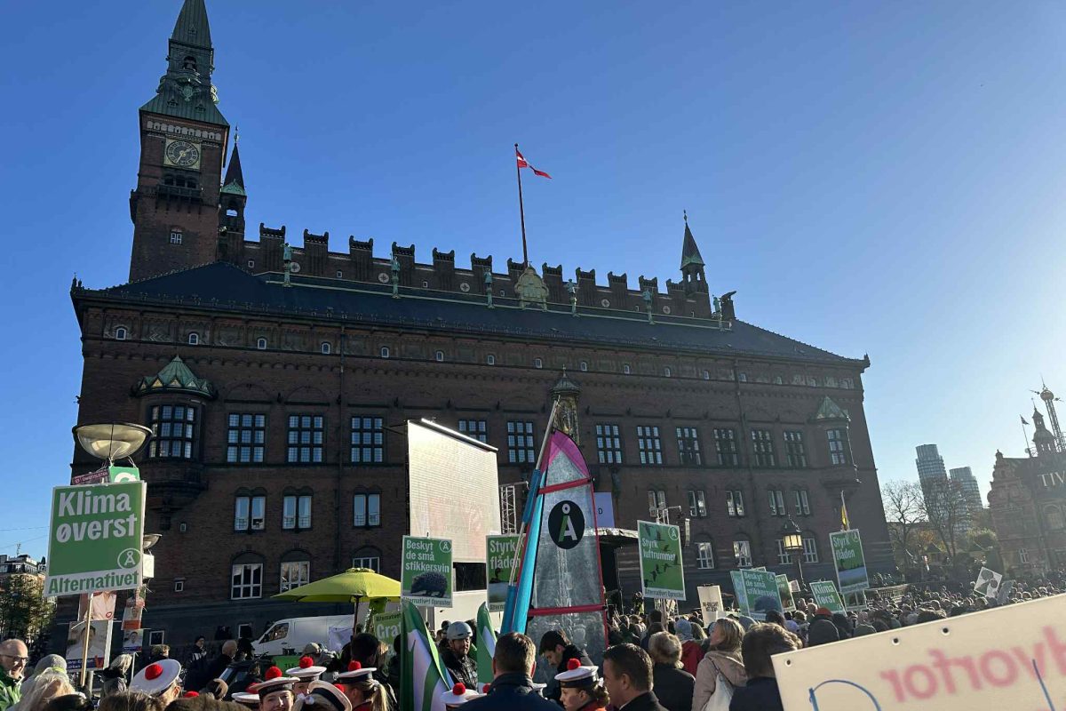 Rådhuspladsen var fuld af demonstranter lørdag d. 15 november