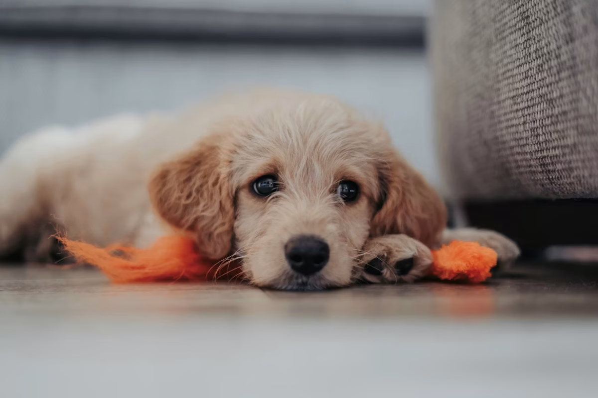 Matthew Foulds/Unsplash
