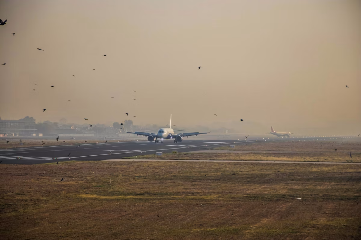 Billede af Jinish Shah/Unsplash