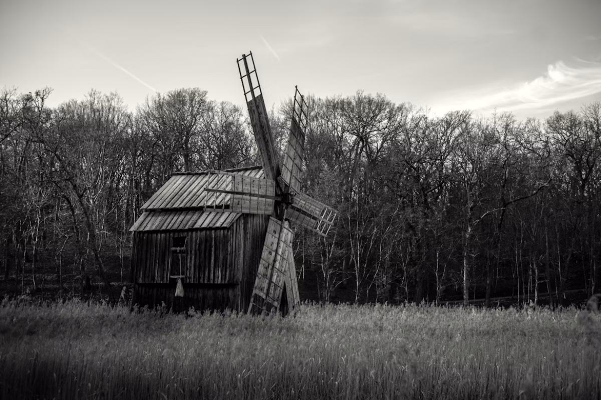 Adrian "Rosco" Stef/Unsplash
