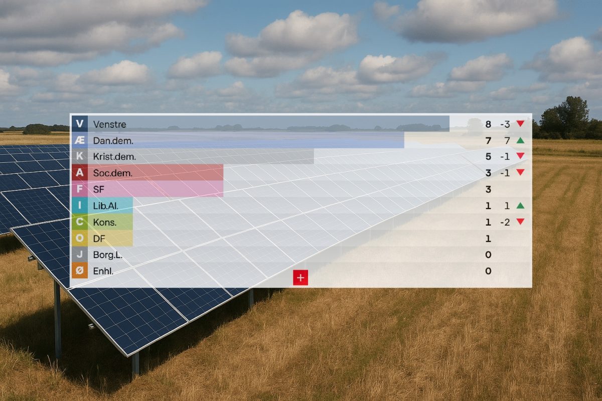 Ringkøbing-Skjern Danmarks Demokraterne