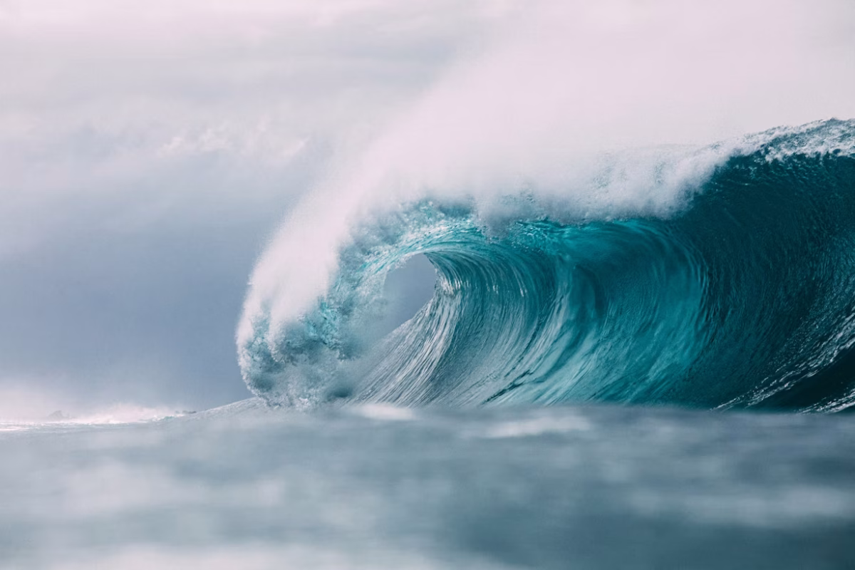 Matt Paul Catalano/Unsplash
