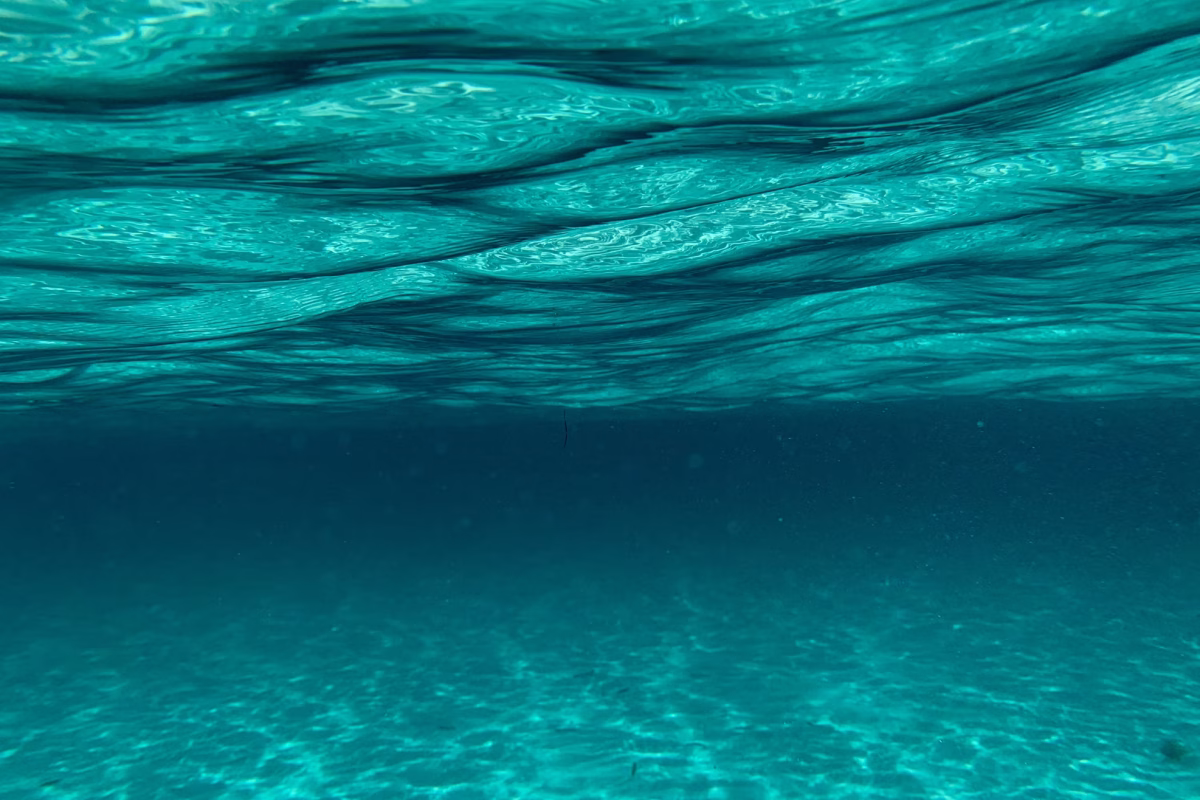 Billede af Fernando Jorge (Unsplash.com)