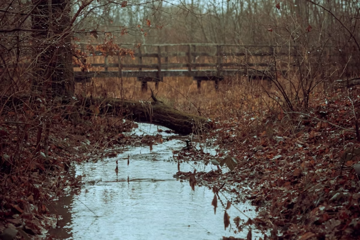 Billede af Neil Macc (Unsplash.com)