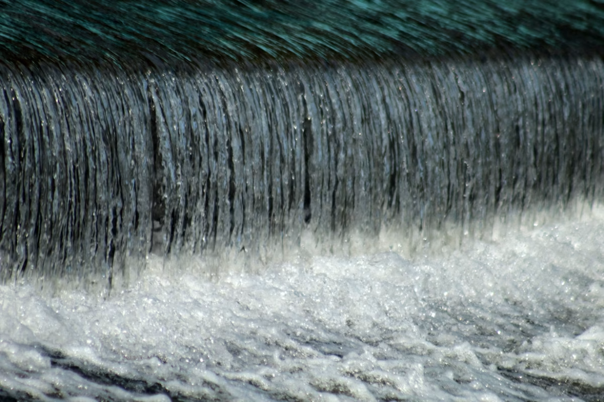 viswaprem anbarasapandian/Unsplash