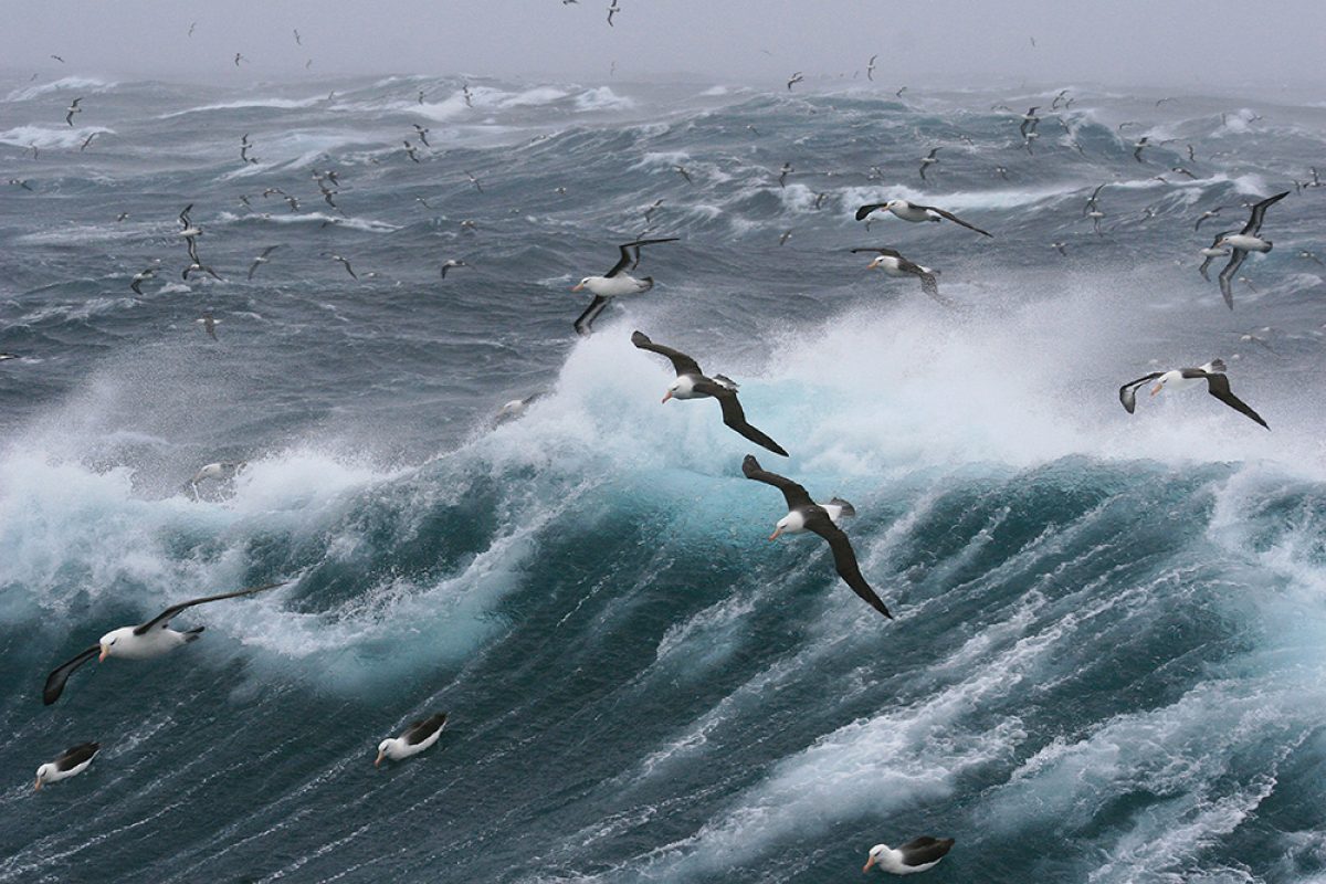 Strom i danmark