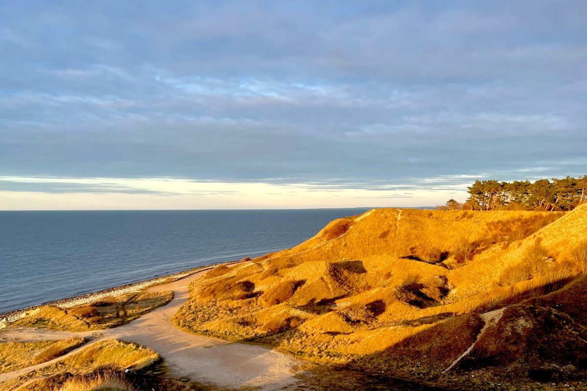 Dansk natur