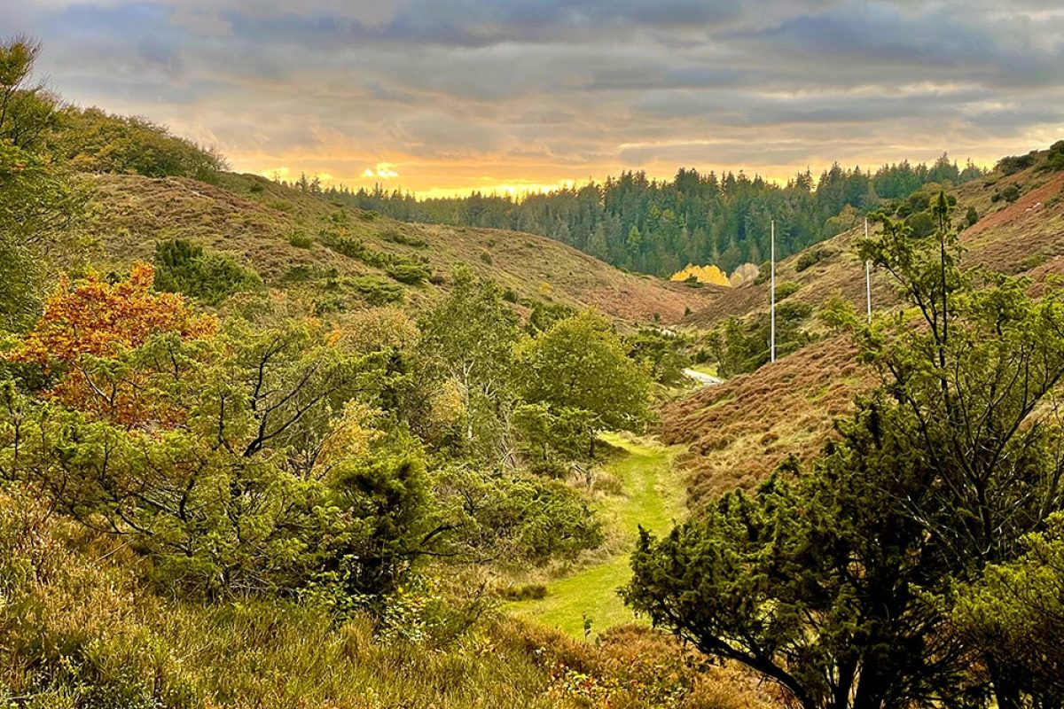 Natur - bakket landskab
