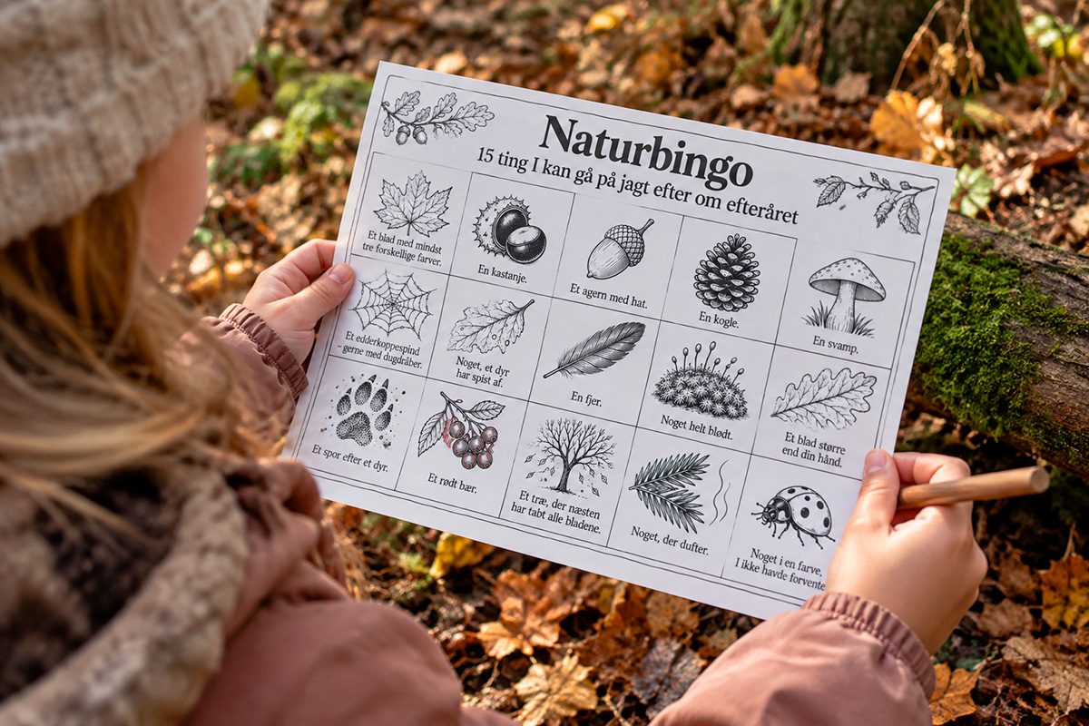 Faktors efterårs naturbingo