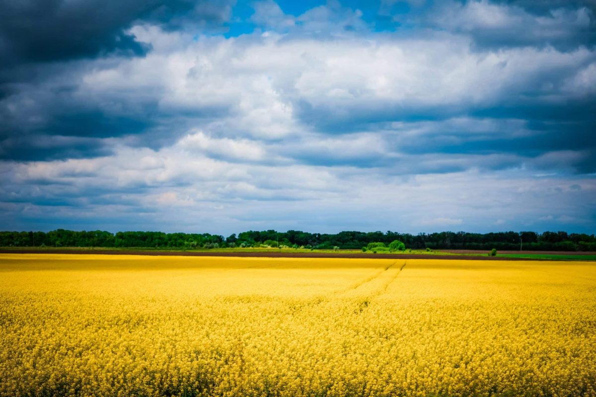 Ukrainisk landskab