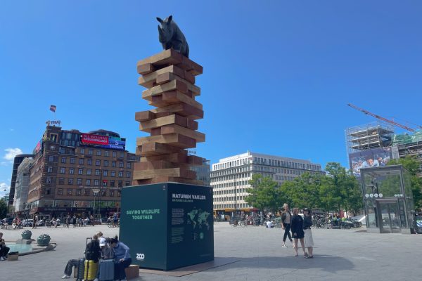 Naturen vakler udstilling